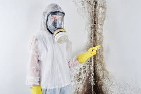 Best Mold Damage Restoration  in Dunes City, OR